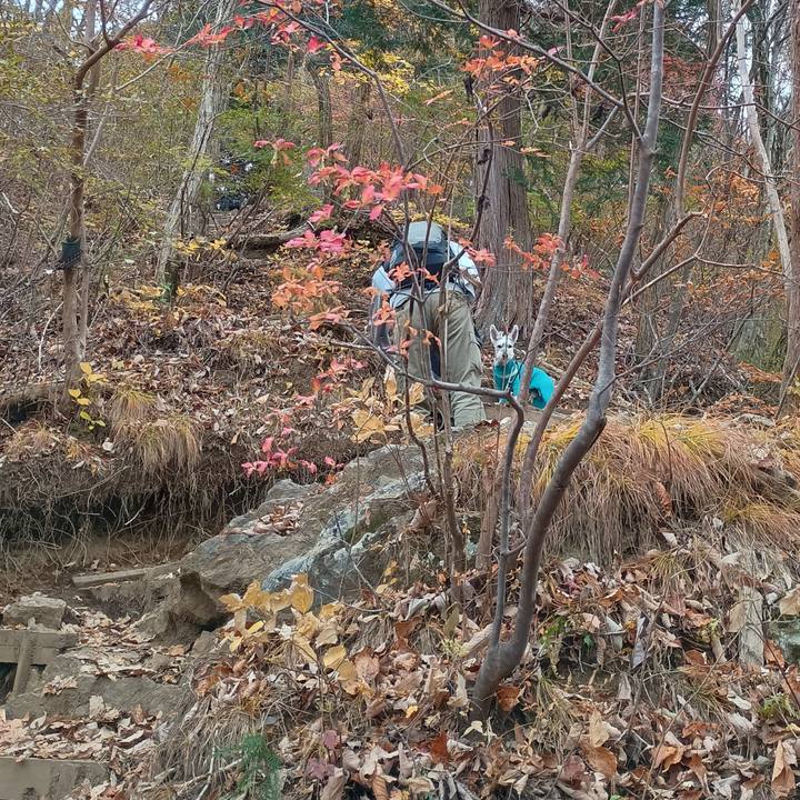 Eb5d7649 ff5f 48a6 bac7 1b8892af8052 1763900011653