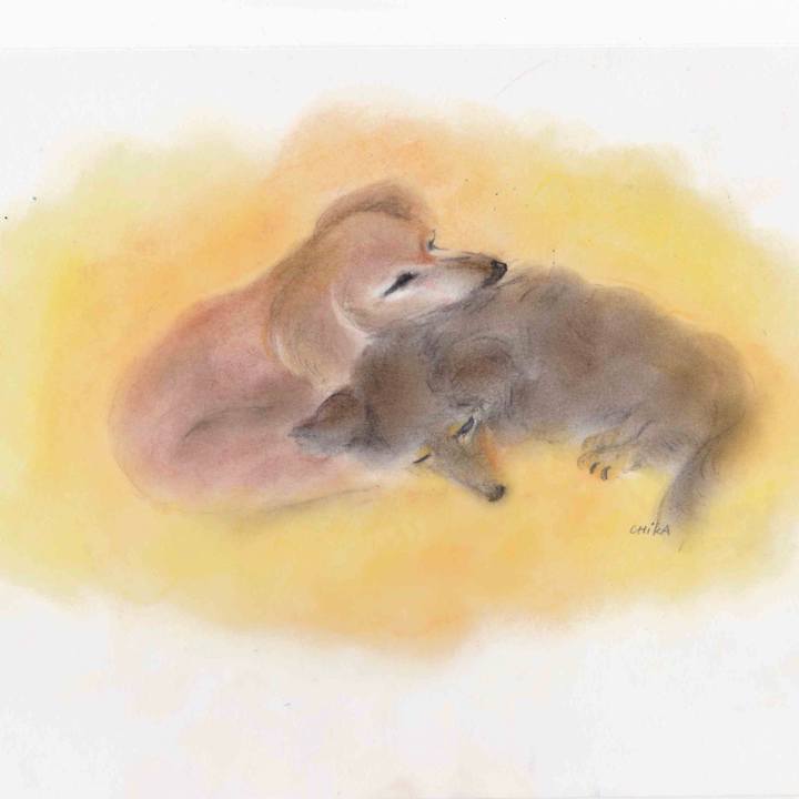 Eb5d9090 e2d8 423f bf5e 3dc51feeebc2 1583222838704