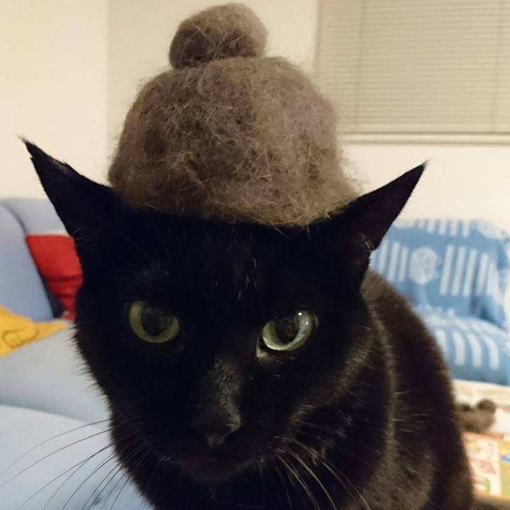 Eb5db459 62ea 416b af88 ca9ee3989a04 1507897930704