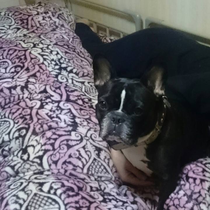 Eb5de7bb 08cb 4448 b311 3bbbbceee49e 1525870950765