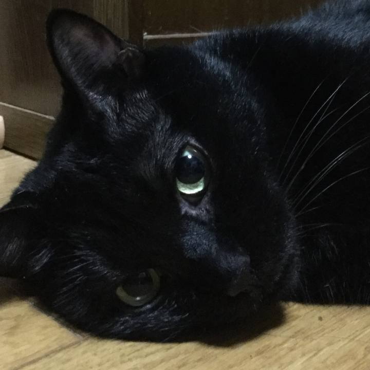 Eb5de988 577a 47b0 b07d 6000f536c3ad 1566993798322