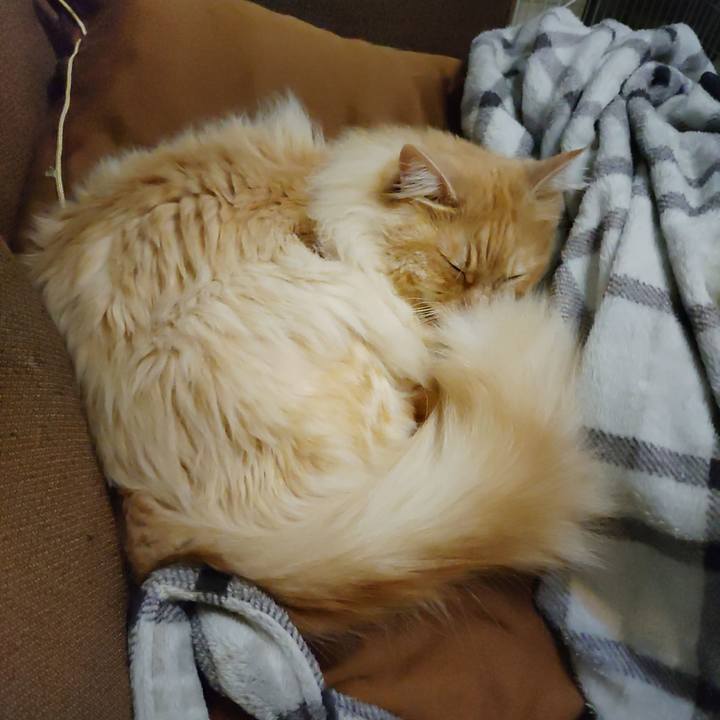 Eb5e2ede ebaa 4637 a021 5522aa8a73a7 1716642711779