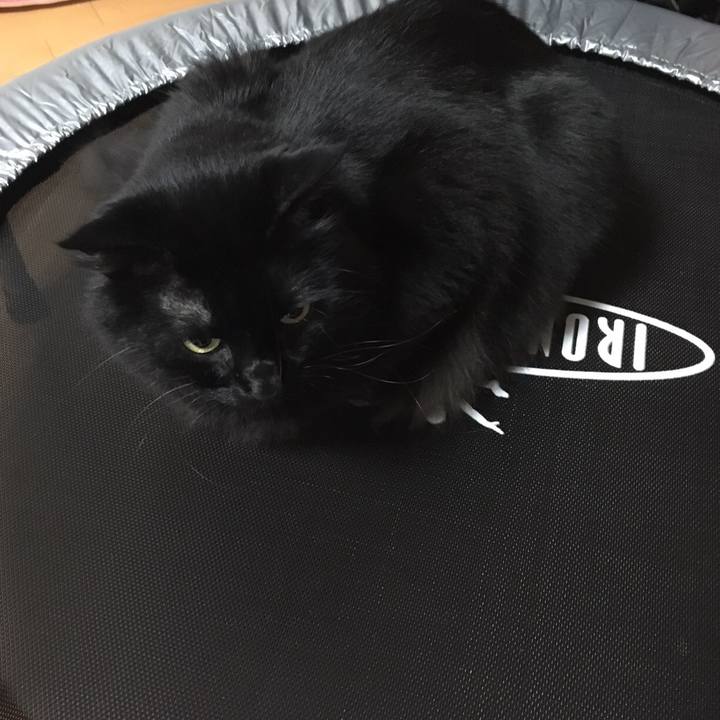 Eb5e8752 0af3 4924 9c78 ff1dc70b0563 1508502934153