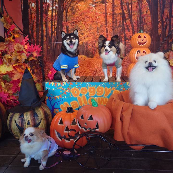 Eb5edca9 3bbe 4806 b406 5073cd756f17 1728058020021