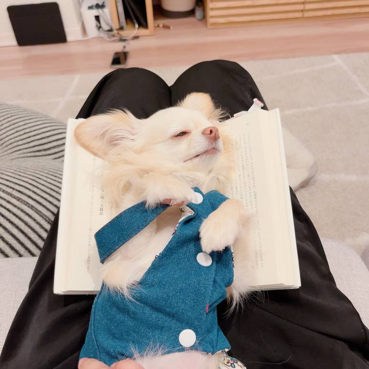 Eb5ee758 5ed7 4788 a877 f93c9c4091ce 1714483438260