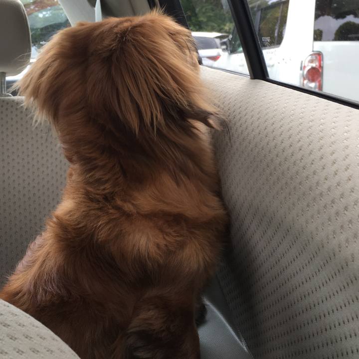 Eb5ef33e 85fc 4d23 8067 ebf6e09d5004 1642500195888