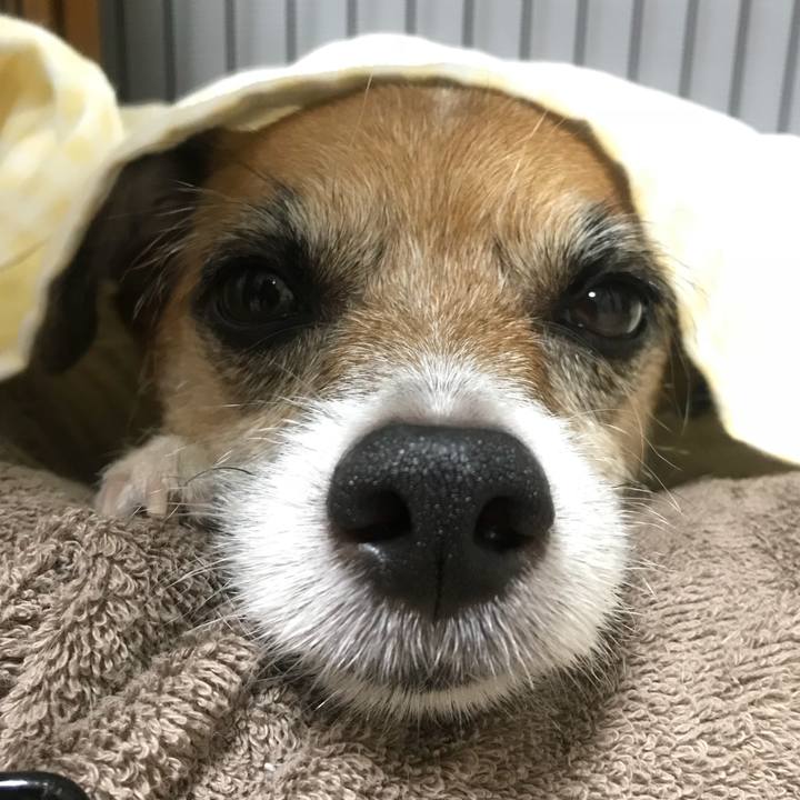 Eb5ef88f 24ba 4811 8d42 d0aaa5f11810 1536241339127