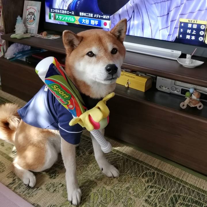 Eb5efb3e e9b9 4894 8ac8 f532b3a3447f 1679357115654