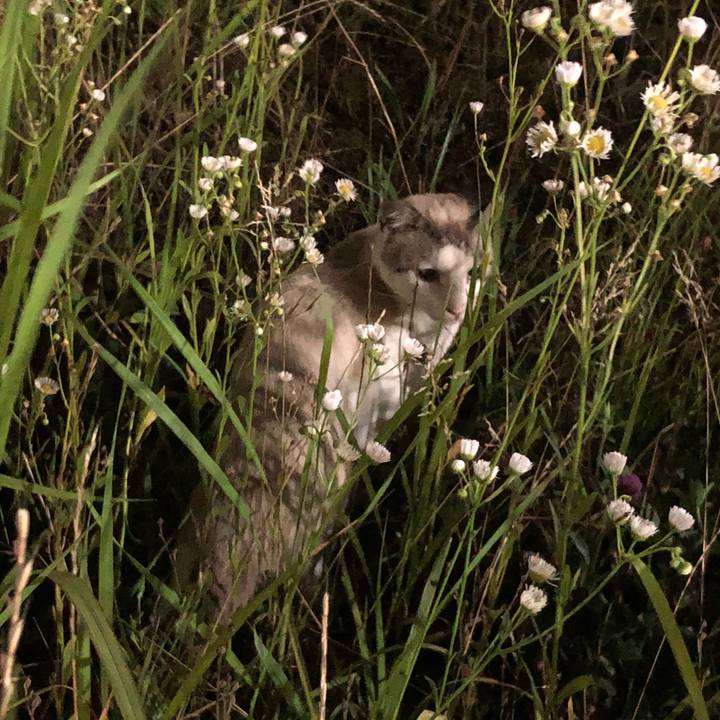 Eb5f4280 00f8 4190 8ec8 81d5afd029b0 1530181661898