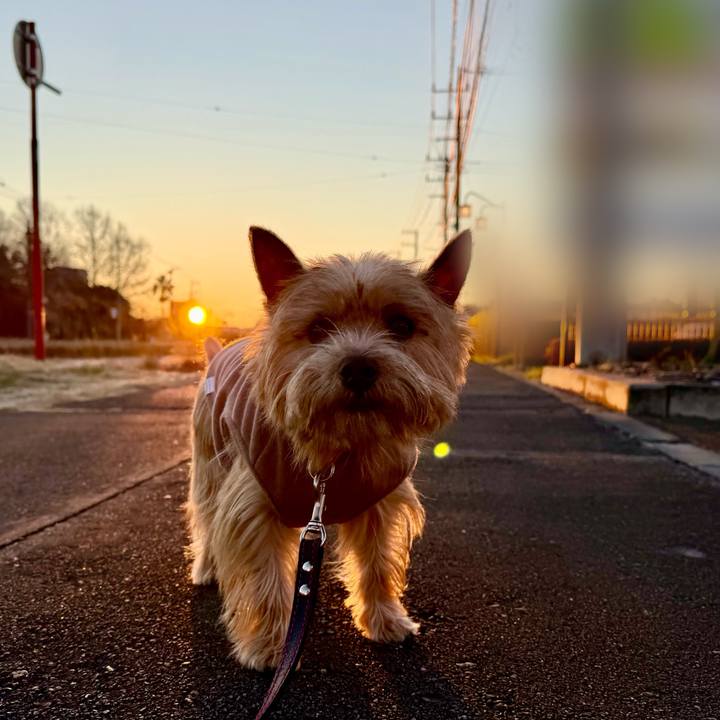 Eb5f7063 0488 4380 9420 a4b8d85ac295 1766919706452