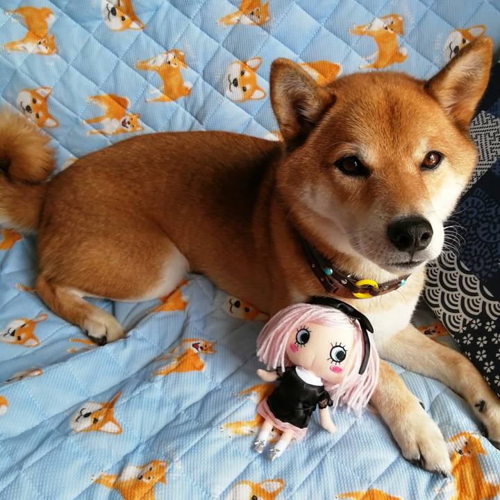 Eb5f7cd9 9403 4544 9f2b 927ca7f9655e 1597125466715