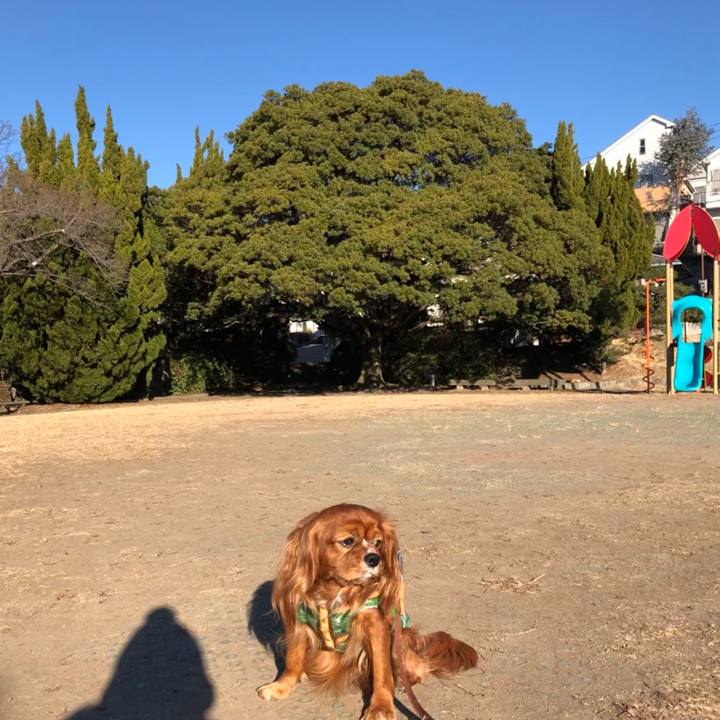 Eb5f8ebc 0977 482f 85e5 cc5837aa2217 1610252851148