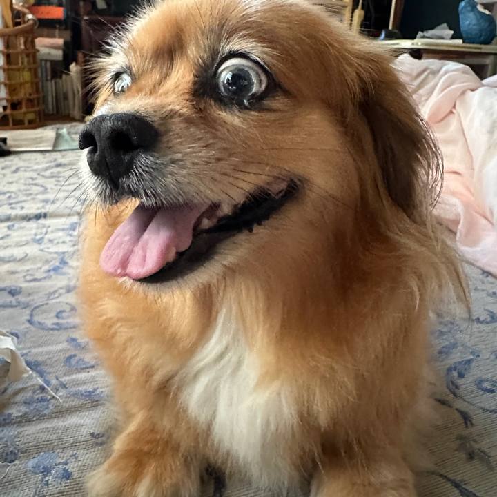 Eb5fc75a c0e4 4f21 8bda 96c600758539 1722633577510