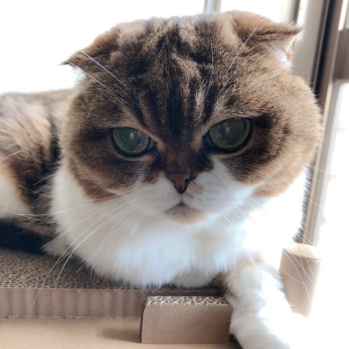 Eb6022f3 cdae 4811 bad9 6d3bd503278d 1599017859333