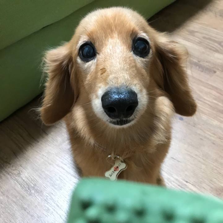 Eb602cae 1fe0 439b 8ef8 d037a50e1abe 1537448734971