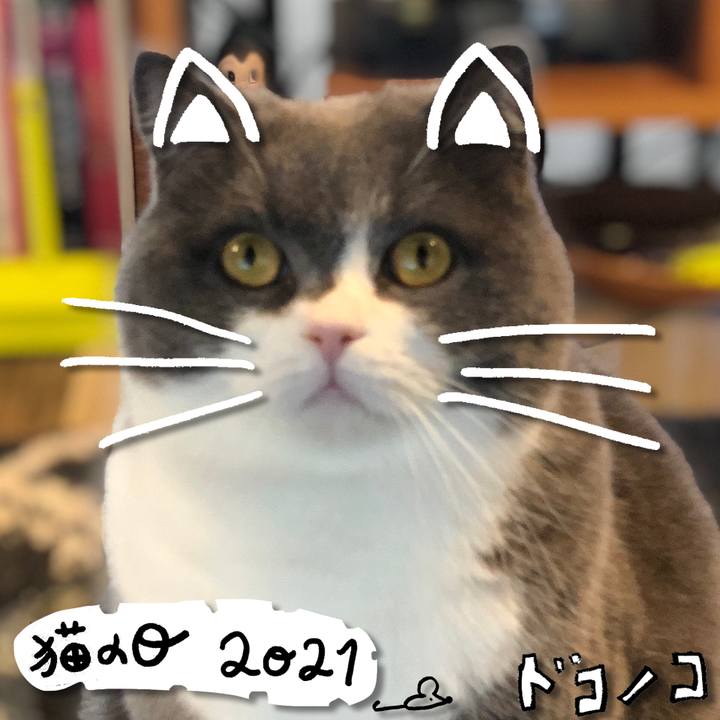 Eb60379e f119 4055 9edc dea53f958932 1613979846828