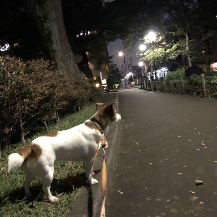 Eb603eba da9f 44ba 917b 5f278edb526d 1540380376037