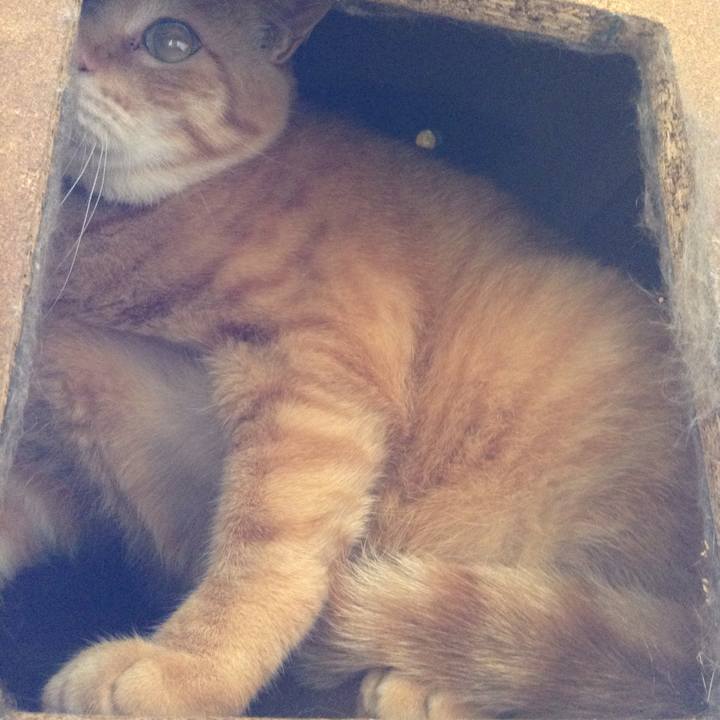 Eb604cad e528 4adb 95e3 c685ae64228f 1601080887757