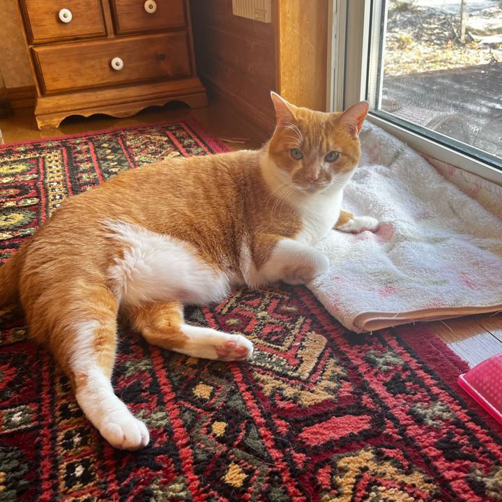 Eb605153 b3ca 4e81 8d5b fdbb59a19d69 1733530900214