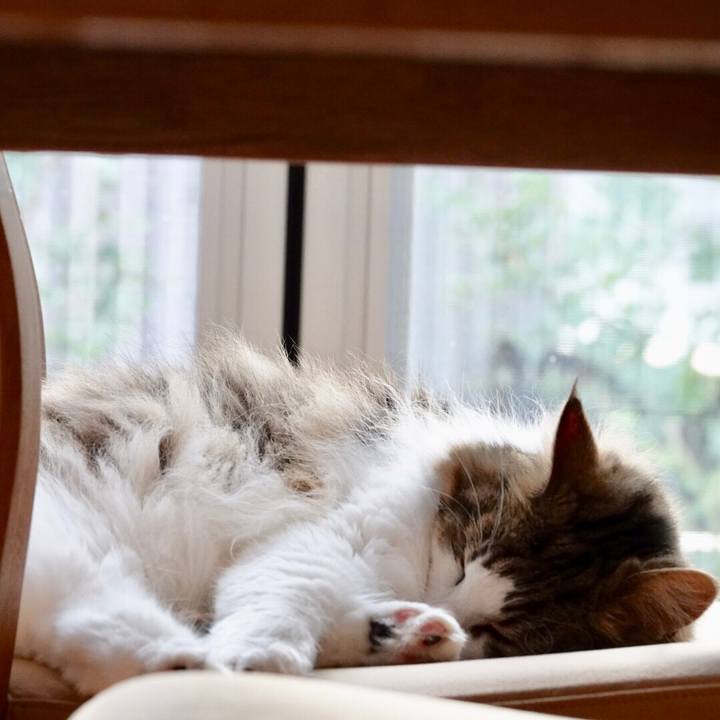 Eb60563f 755c 44a8 ba26 45bd6473b5c3 1560845737174