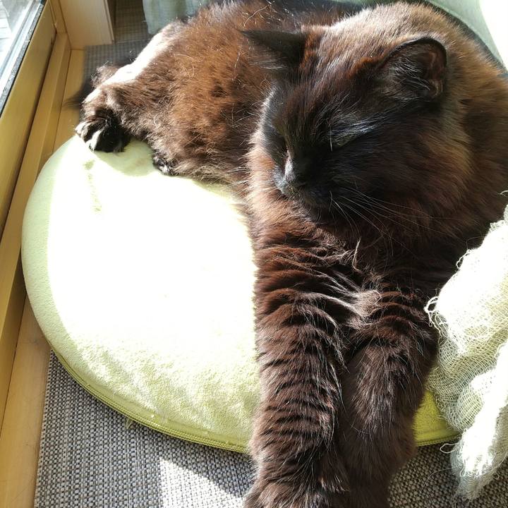 Eb605c85 2792 4156 8b8b 90391d23daac 1647066275698