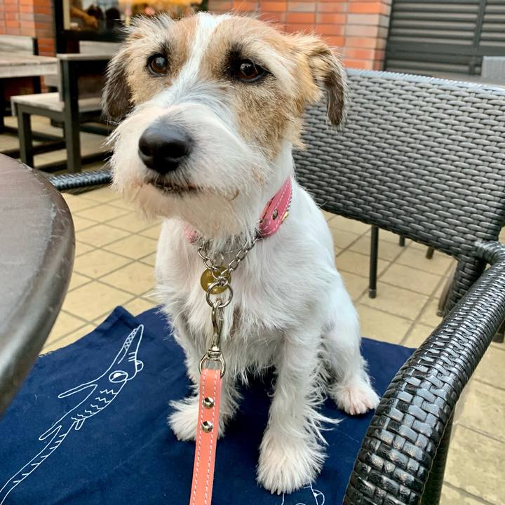 Eb60676d 3e05 4a30 9fdc 2f4662931b2d 1606126183211