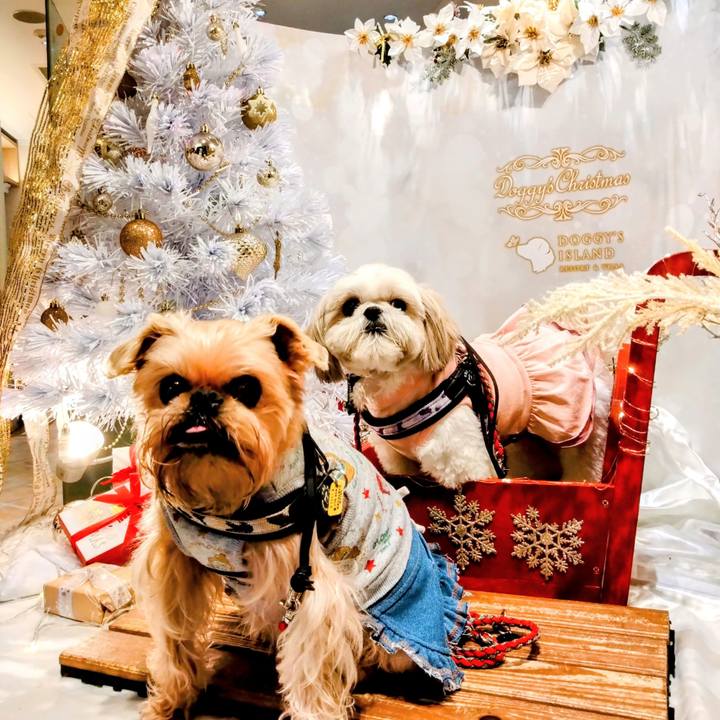 Eb607191 c751 48a3 a49d 80b798cb1761 1671951840234