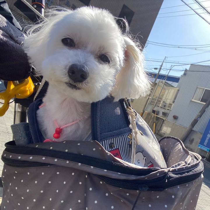 Eb60affe bc44 41d8 a9da f061eef9c27b 1678016631399