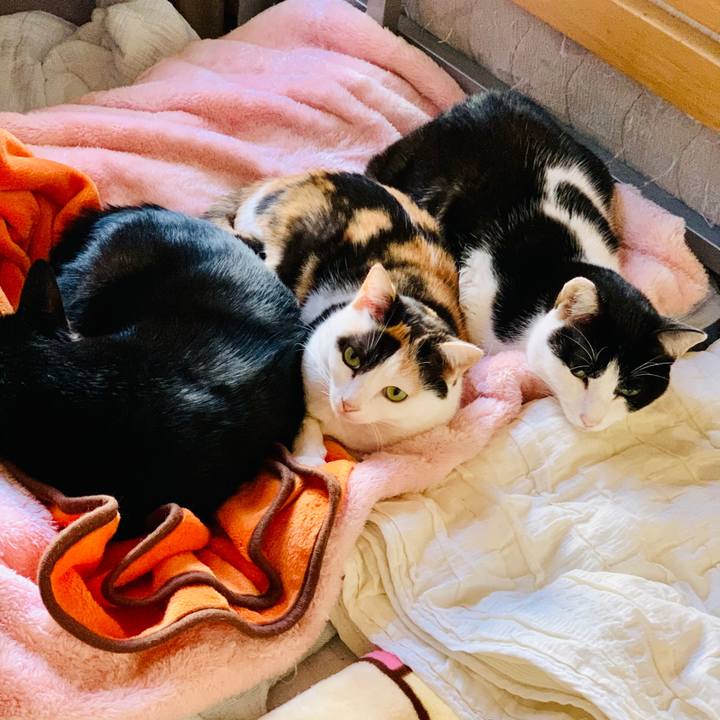 Eb60cddb ef66 4604 bb42 fc705858355f 1607567373698