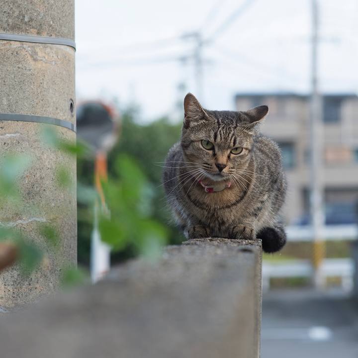 Eb60e178 9083 4afa b882 e5f6682a6539 1537057745155