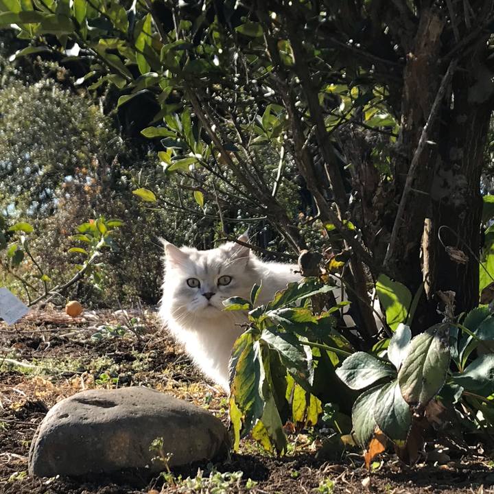 Eb60f024 4b01 4435 a8ae cc7a948a086a 1581216041508