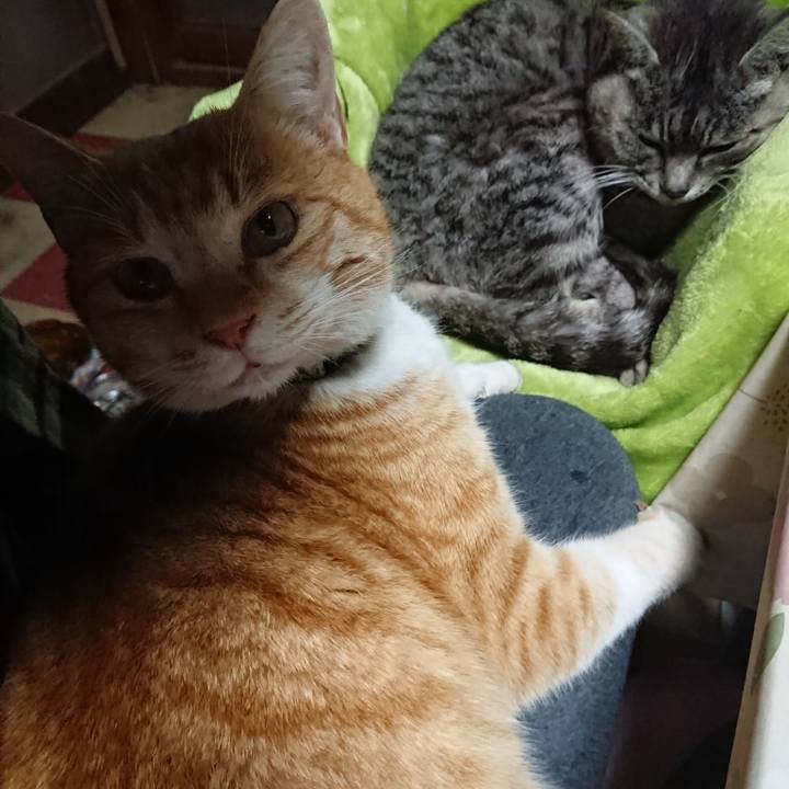 Eb611011 8691 44f2 a28c ea5a257d8860 1584308836021