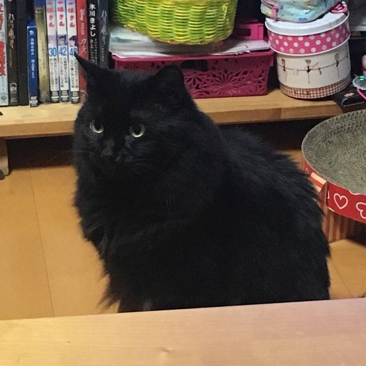 Eb615073 30fd 4c93 a1ec 2a20b3d401aa 1533653310116