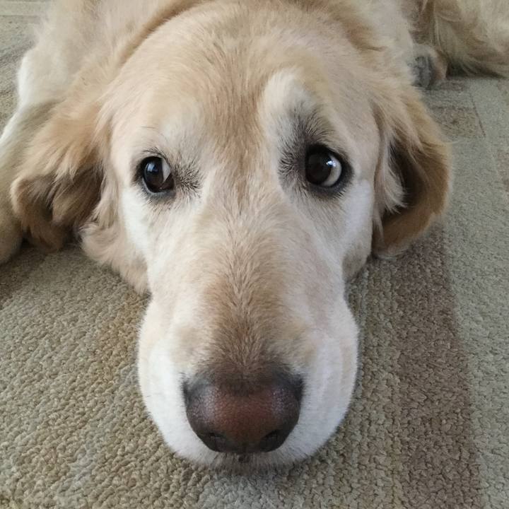 Eb618181 0126 483c ad8b 2795cedbb62c 1550441134539