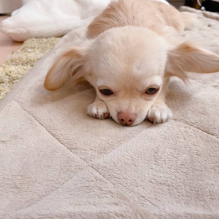 Eb618b37 8217 4b2c 9946 8e4848f2757a 1619185019626