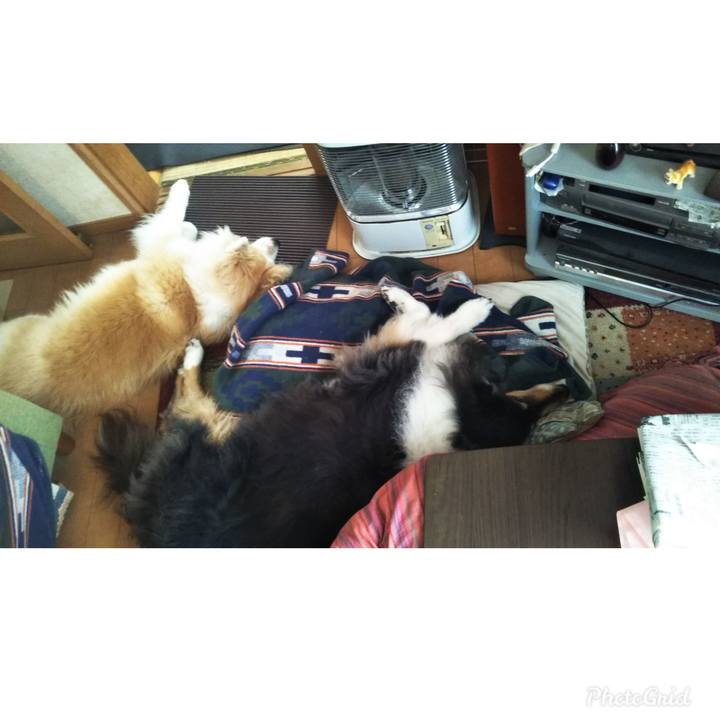 Eb619b59 9c3e 44c4 901f eaf72cc5566f 1617108050516