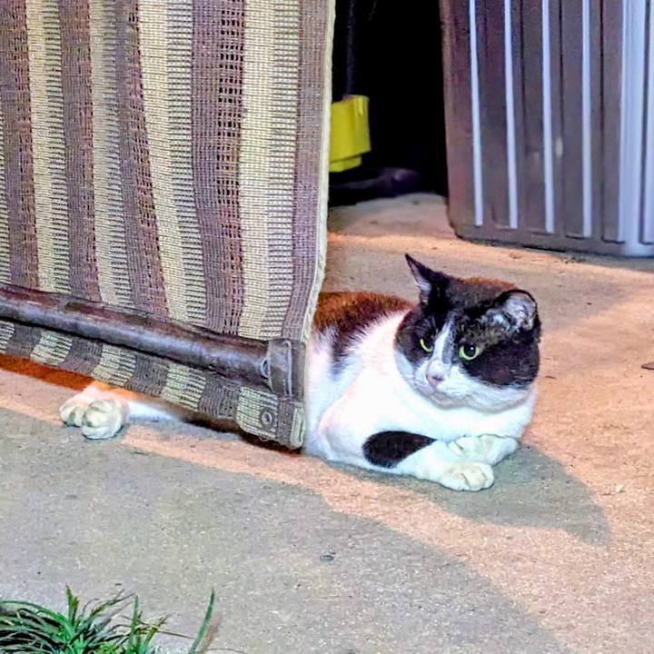 Eb61b5fa a5fd 411a a47a d667b21ba00f 1758537789970