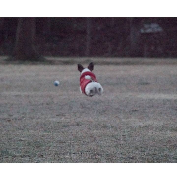 Eb61db2c f390 4bdc 93d4 77e3820cce1b 1546645774935