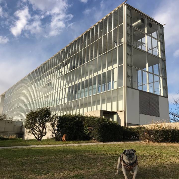 Eb61f106 8b63 4261 ab5d 436b9be846bc 1547103294309