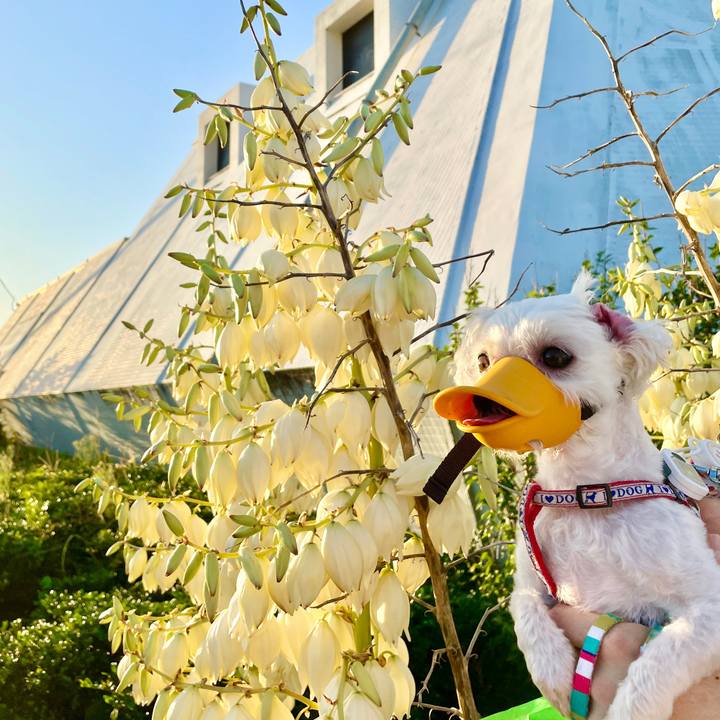 Eb61fc43 963e 4b89 b741 2ea27c6a697b 1633923462488