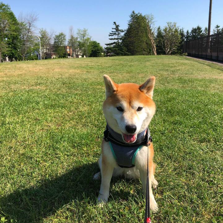 Eb624e33 1fcc 4874 b9c2 b51932b1c07a 1558938321696