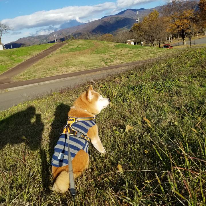 Eb625596 daad 4691 94ca b01d2cb6de05 1636524237694