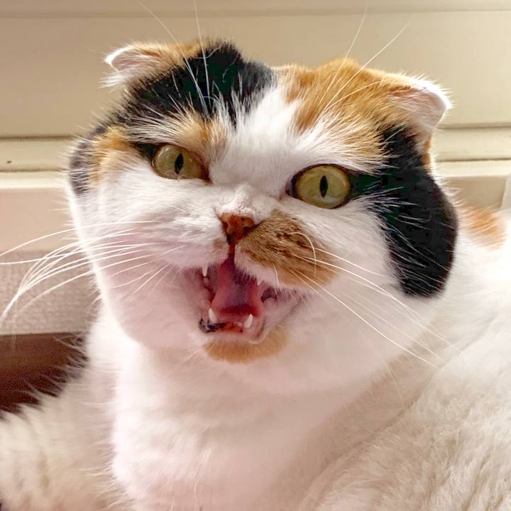 Eb626816 4b68 4272 b9b9 54c1084617b6 1564004730847