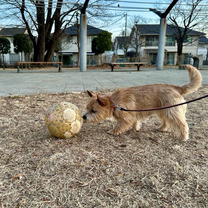 Eb62adac e4f8 4688 a938 ff2d4f24569d 1739962846325