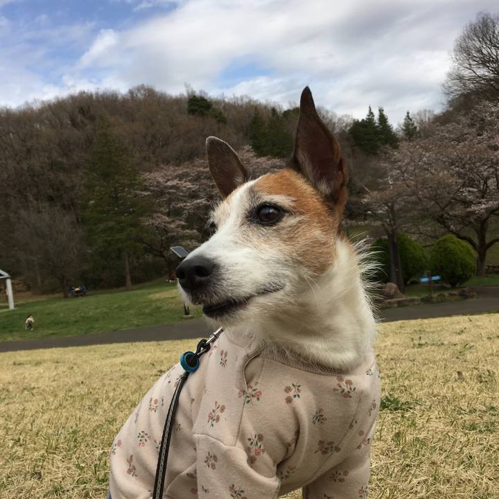 Eb62e6f5 6dba 4f23 a6fd 5f41e551659a 1648510115374