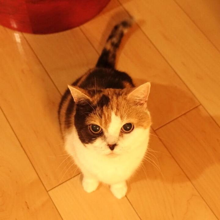 Eb62e7d4 e5a6 4d48 9527 a25c1d1ea3a1 1570027661397