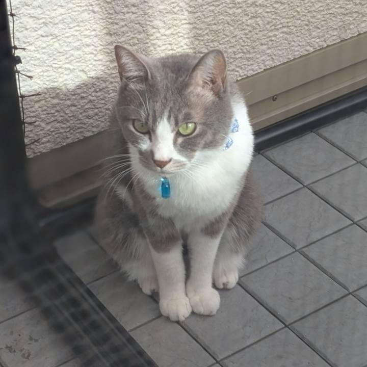 Eb62f96c 1ca6 48be 9a73 353a06bd5f03 1732508824115