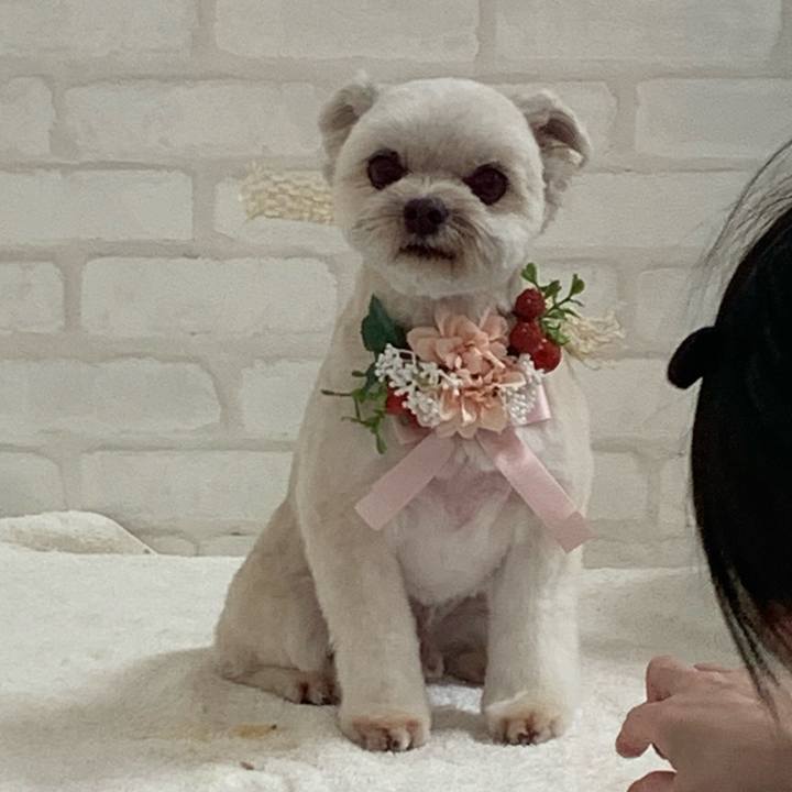 Eb631a29 dcd4 4deb ae8c 99a5ef4f062c 1709207048768