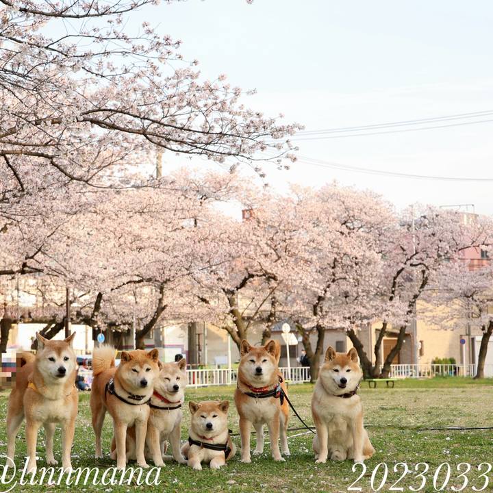 Eb6345fa 486f 4ab5 a531 823935399ffb 1773501622797