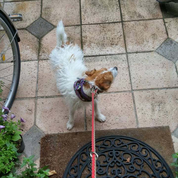 Eb6396d0 34dc 47cc a0c8 faa54ae4da02 1540596001049